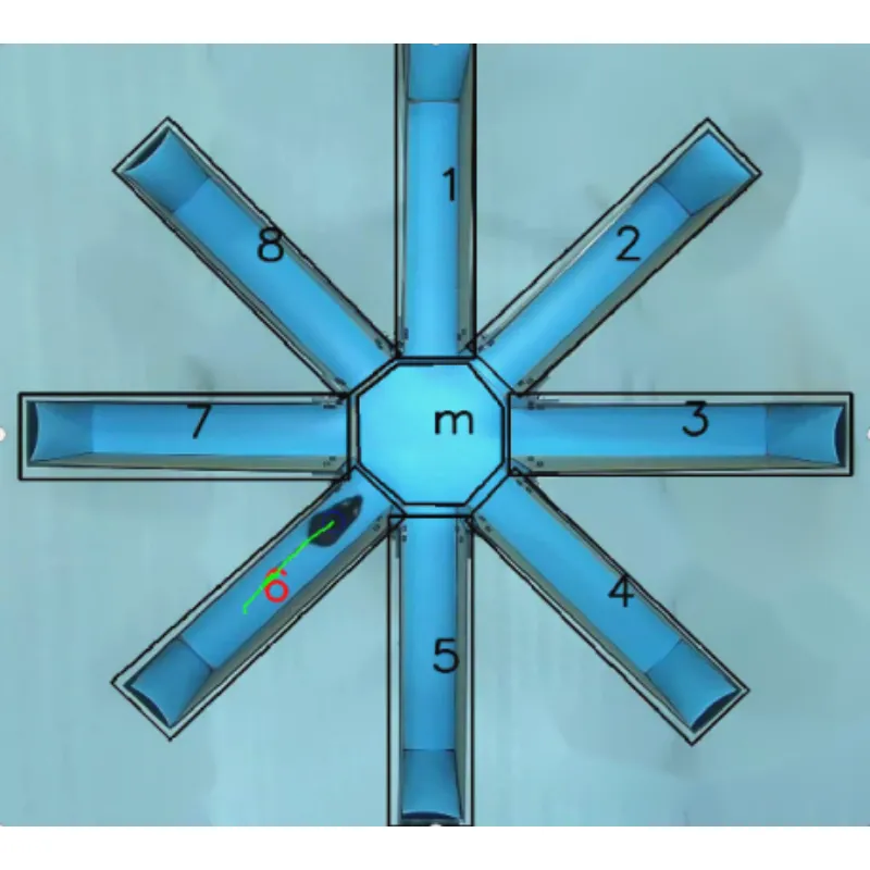 Bludisko s radiálnym ramenom